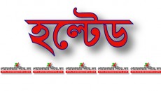 Holted হল্টেড