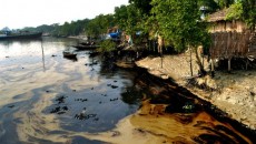 141215110717_bangla_sundarbans_oil_spills_pollution_640x360_afp_nocredit