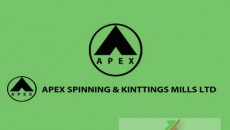 apex spining