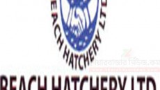 beach hatchery
